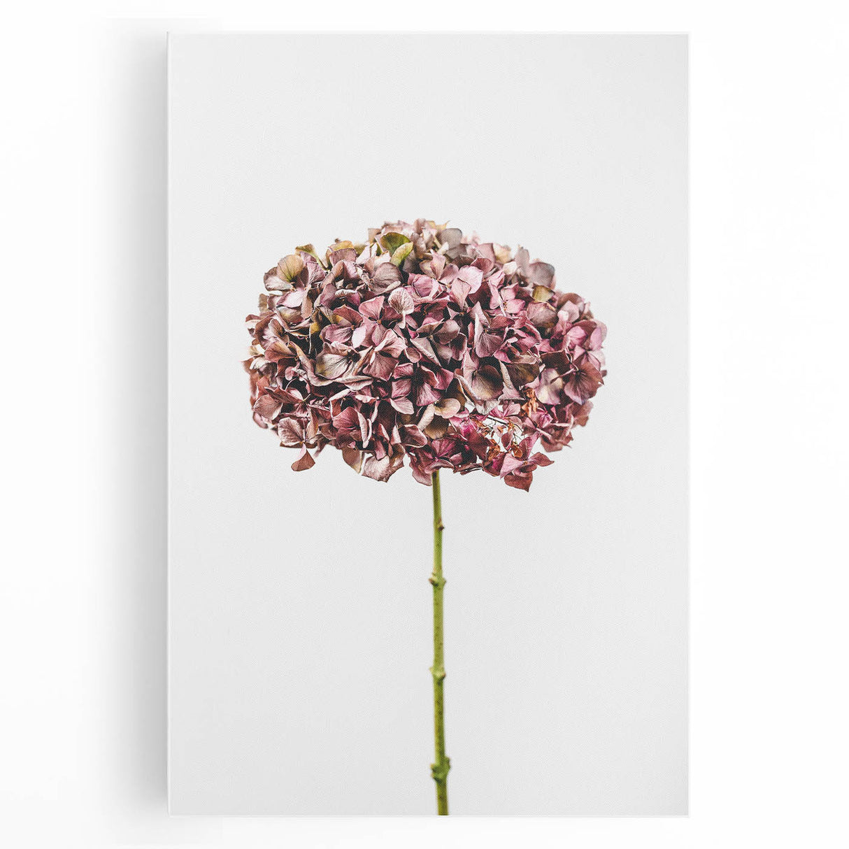 Large black and white canvas depicting a spring theme, ideal for kitchen wall art.
