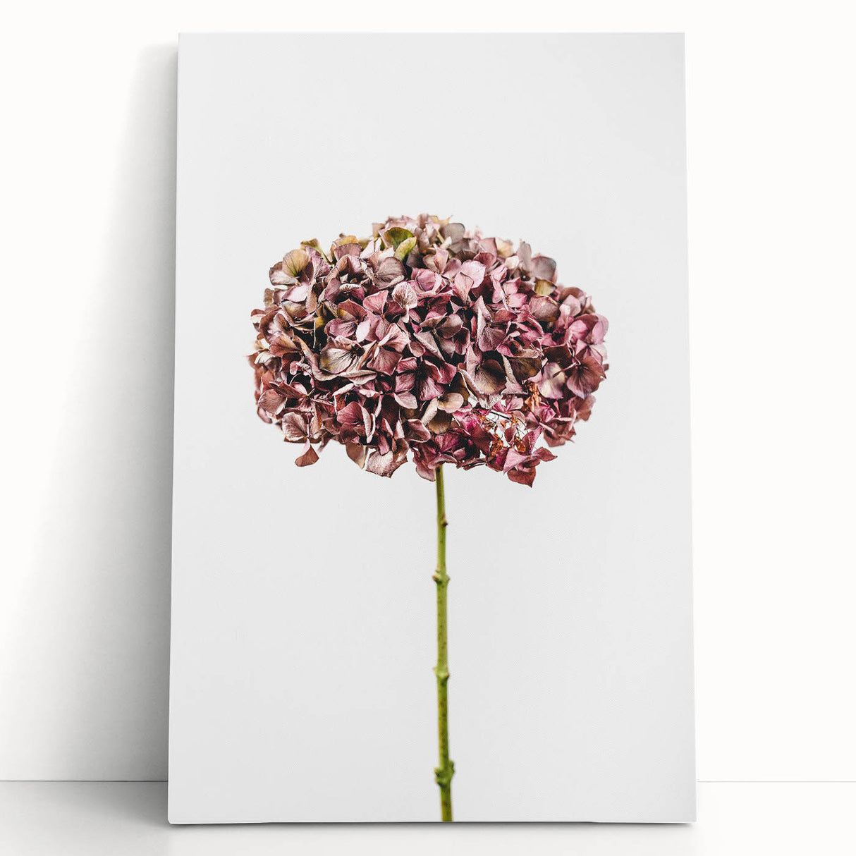 Large black and white stretched canvas depicting spring trees, ideal for kitchen wall art or bedroom ambiance.
