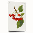 Acrylic print of large abstract fruit designs in vibrant colors, ideal for dining room decor.