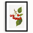 Extra large abstract art print featuring vibrant, colorful fruits on textured canvas, framed in black.