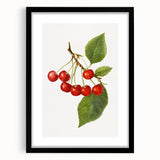 Extra large abstract art print featuring vibrant, colorful fruits on textured canvas, framed in black.