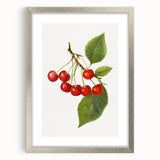 Textured art print featuring abstract forms of fruits in muted earth tones, framed with a silver mat.