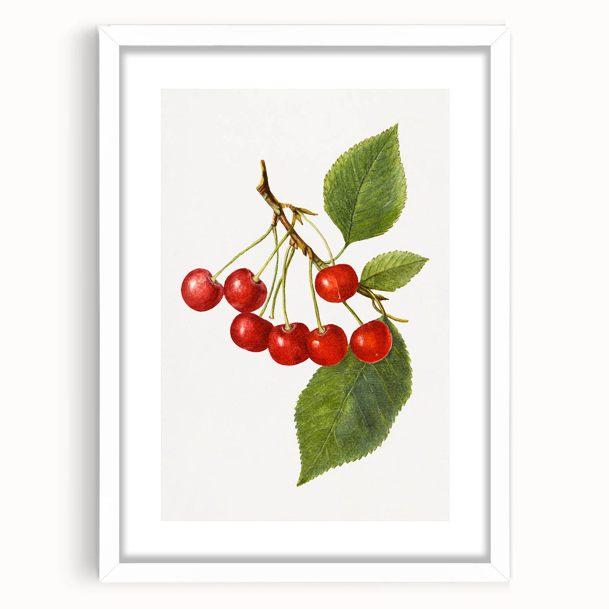Abstract art print featuring assorted fruits in vibrant colors, framed with a white mat, suitable for dining room decor.
