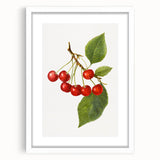 Abstract art print featuring assorted fruits in vibrant colors, framed with a white mat, suitable for dining room decor.