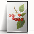 Large abstract wall art featuring assorted fruits in vibrant colors on a black acrylic framed print.