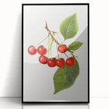 Large abstract wall art featuring assorted fruits in vibrant colors on a black acrylic framed print.