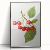 Mid-century modernist art featuring an array of colorful fruits on a silver framed acrylic, suitable for nursery wall art.
