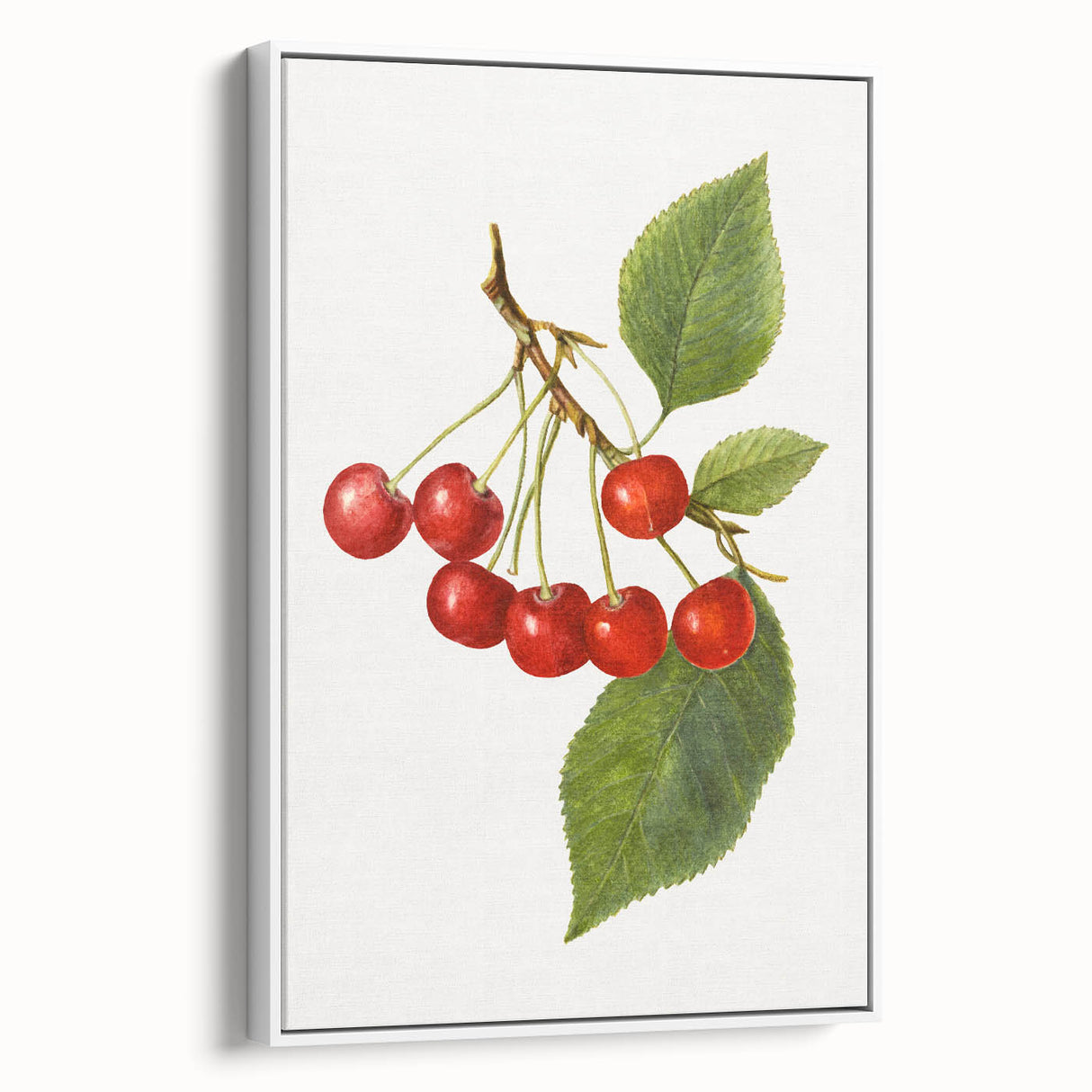 Framed canvas of vintage poster art featuring colorful fruits on a black background, ideal for living room decor.