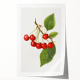 Extra large rolled canvas print featuring an array of vibrant fruits, ideal for art wall dining room decor.