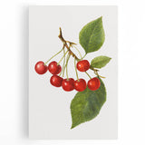 Large black and white canvas of assorted fruits, ideal for kitchen wall art.
