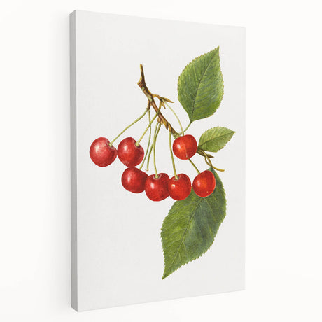 Large stretched canvas featuring an array of colorful fruits, ideal for kitchen wall art.