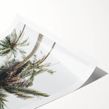 Extra large wall art featuring line art flowers in black on a white background, printed on rolled canvas.