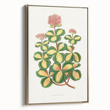 Romanticism Art - Stonecrop Leaf Illustration by Lydon & Fawsett Print