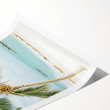 Extra large rolled canvas featuring line art flowers in black on a white background.