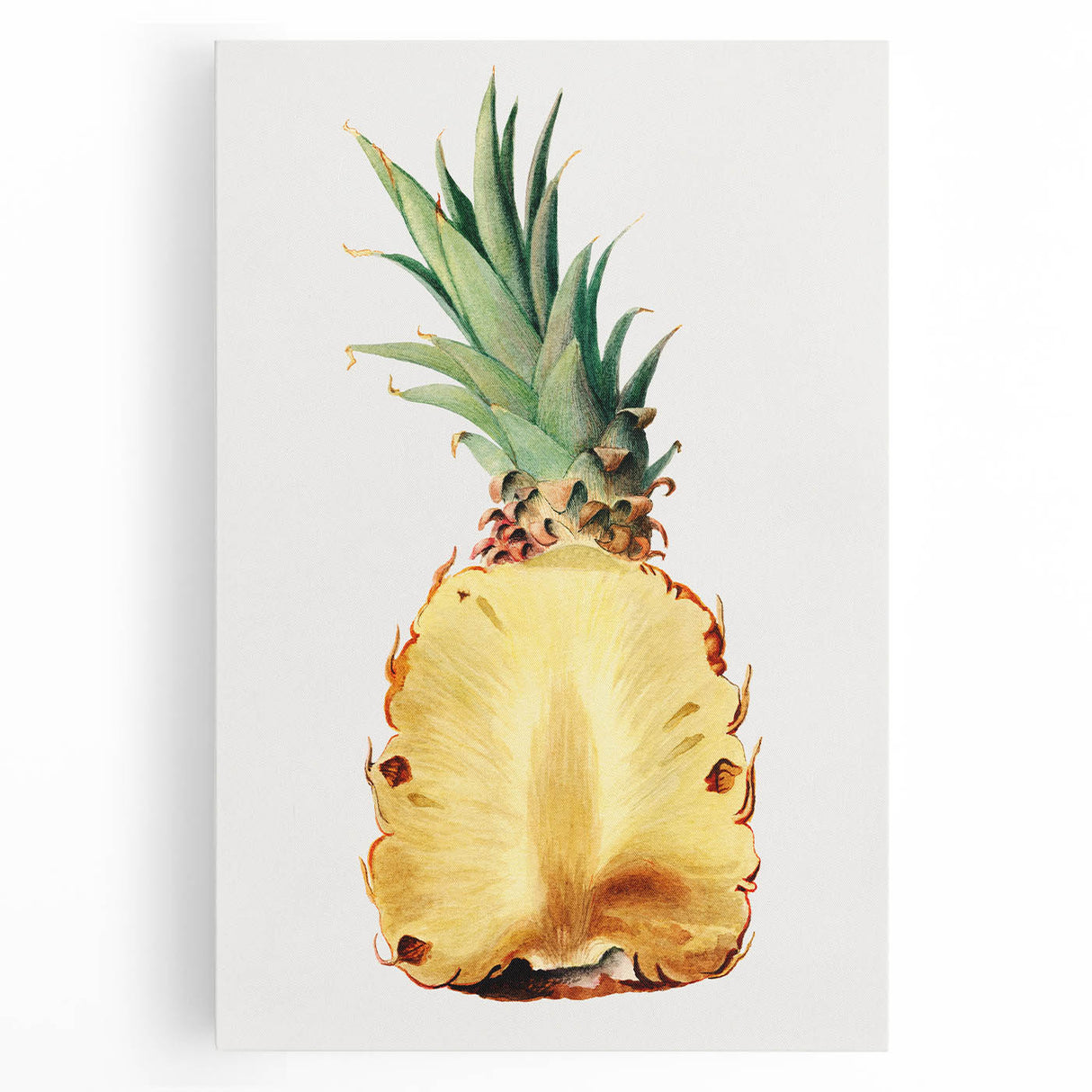 Black and white photograph of assorted fruits on stretched canvas, ideal for kitchen wall art.