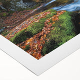 Rolled canvas showcasing a vibrant landscape bridge design with lush greenery and a serene water scene, elegantly packaged in a protective cardboard tube for safe delivery.