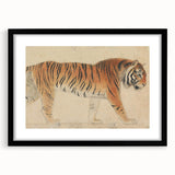 Realistic Tiger Art Print - Thomas Stothard Classical Realism Animal Canvas