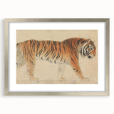 Realistic Tiger Art Print - Thomas Stothard Classical Realism Animal Canvas