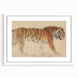 Realistic Tiger Art Print - Thomas Stothard Classical Realism Animal Canvas