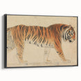 Realistic Tiger Art Print - Thomas Stothard Classical Realism Animal Canvas