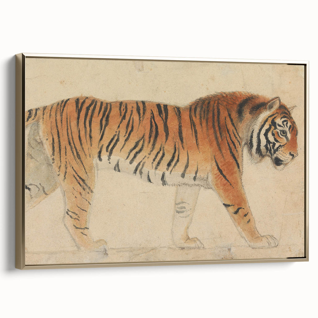 Realistic Tiger Art Print - Thomas Stothard Classical Realism Animal Canvas