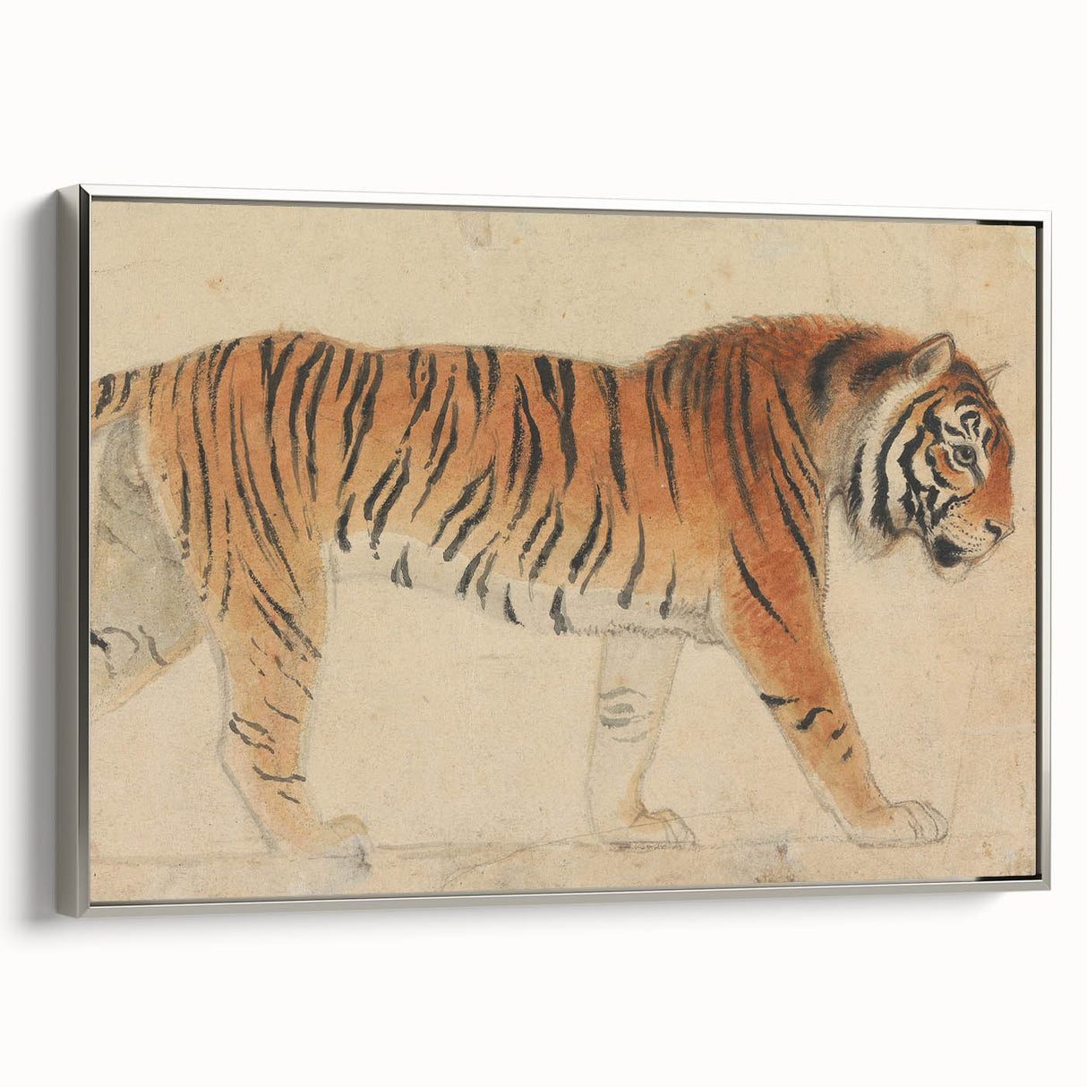 Realistic Tiger Art Print - Thomas Stothard Classical Realism Animal Canvas