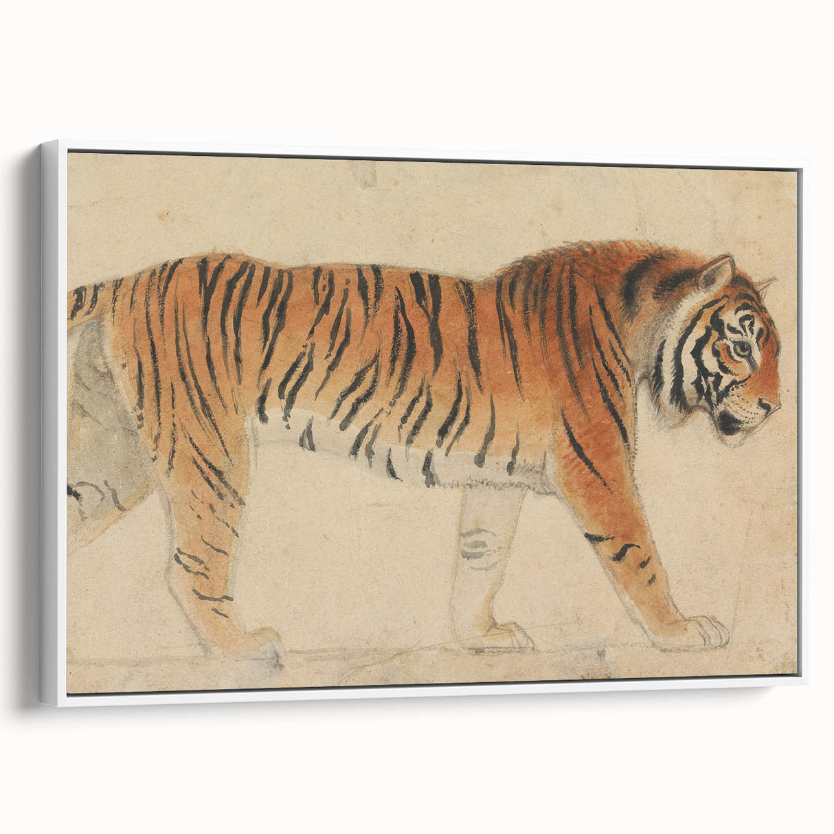 Realistic Tiger Art Print - Thomas Stothard Classical Realism Animal Canvas