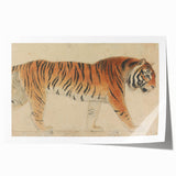 Realistic Tiger Art Print - Thomas Stothard Classical Realism Animal Canvas