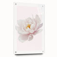 Elegant White Peony Floral Print - Girls Bedroom Wall Art