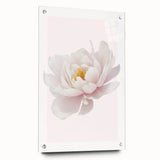 Elegant White Peony Floral Print - Girls Bedroom Wall Art