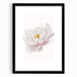 Elegant White Peony Floral Print - Girls Bedroom Wall Art