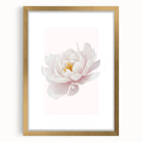 Elegant White Peony Floral Print - Girls Bedroom Wall Art