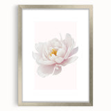 Elegant White Peony Floral Print - Girls Bedroom Wall Art