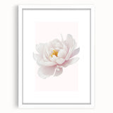 Elegant White Peony Floral Print - Girls Bedroom Wall Art
