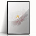 Elegant White Peony Floral Print - Girls Bedroom Wall Art