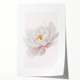 Elegant White Peony Floral Print - Girls Bedroom Wall Art