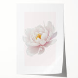 Elegant White Peony Floral Print - Girls Bedroom Wall Art