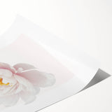 Elegant White Peony Floral Print - Girls Bedroom Wall Art