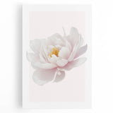 Elegant White Peony Floral Print - Girls Bedroom Wall Art