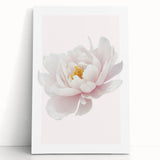 Elegant White Peony Floral Print - Girls Bedroom Wall Art