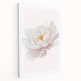 Elegant White Peony Floral Print - Girls Bedroom Wall Art