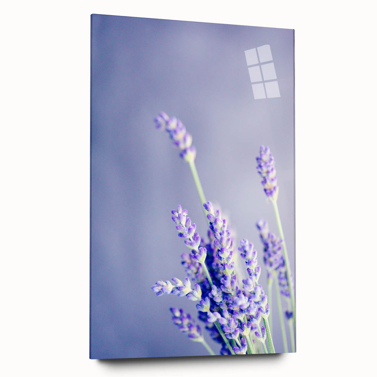 Large abstract wall art in pastel shades on acrylic glass, perfect for modern bedroom or dining room ambiance.