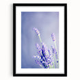 Extra large abstract art print featuring vibrant spring colors in a textured style, framed in black.