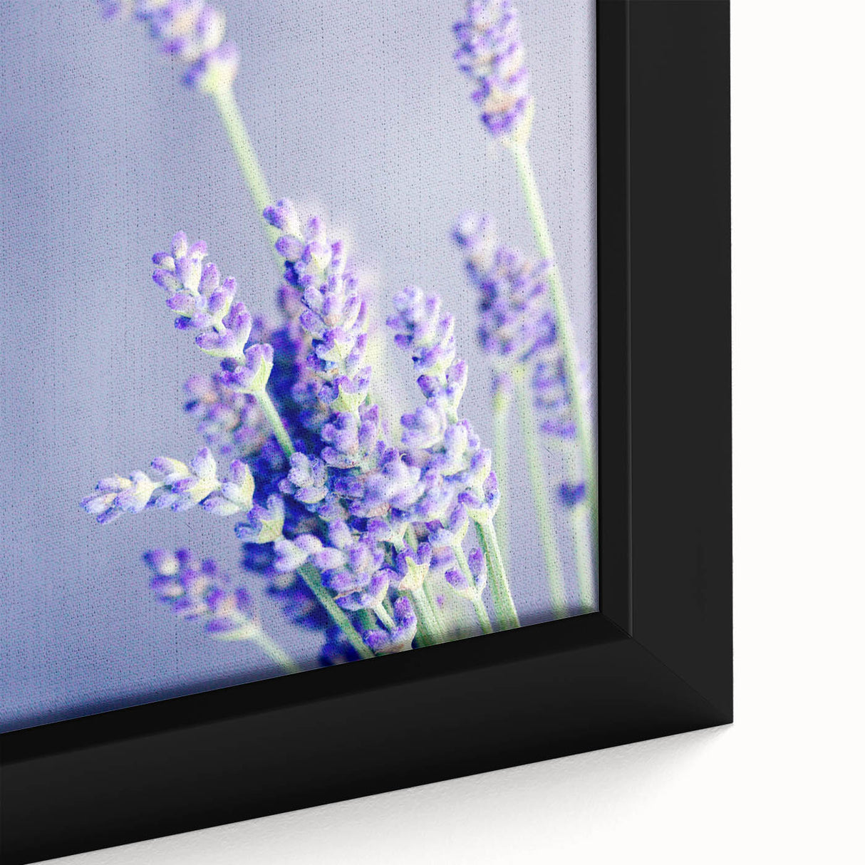 Extra large framed canvas featuring a textured depiction of spring with black background and vibrant.