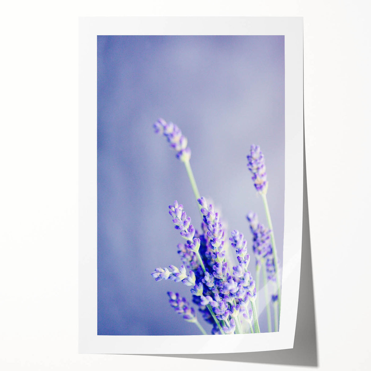 Extra large rolled print of spring-themed floral art in pastel colors, ideal for dining room or bathroom wall decor.