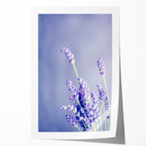 Extra large rolled print of spring-themed floral art in pastel colors, ideal for dining room or bathroom wall decor.