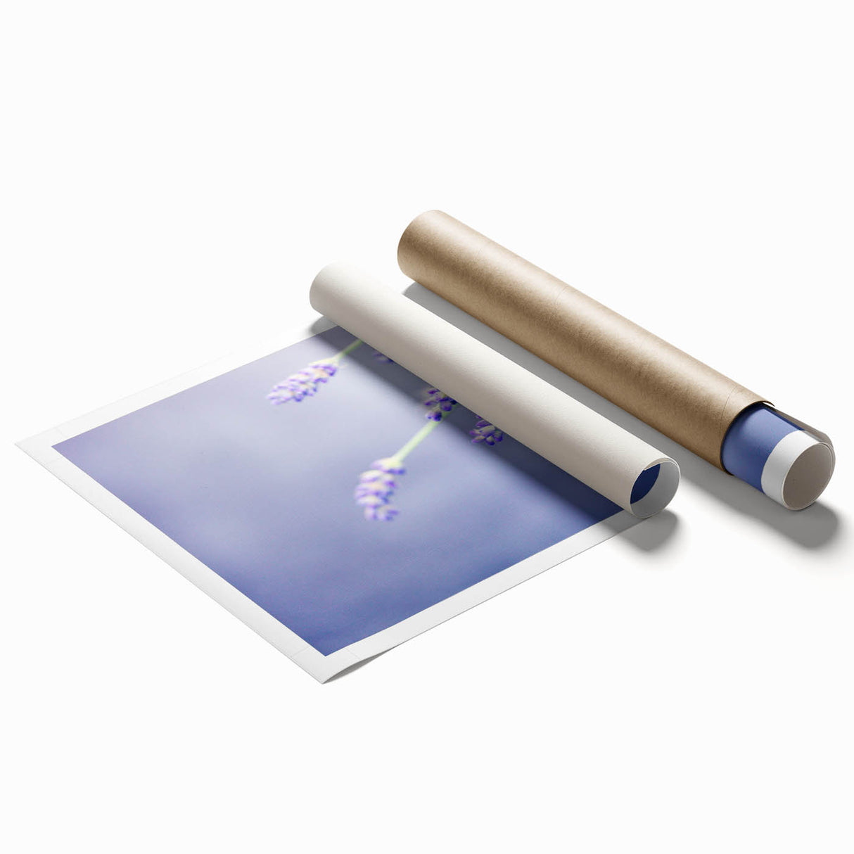 Extra large rolled print of spring-themed floral art in soft pastel shades.