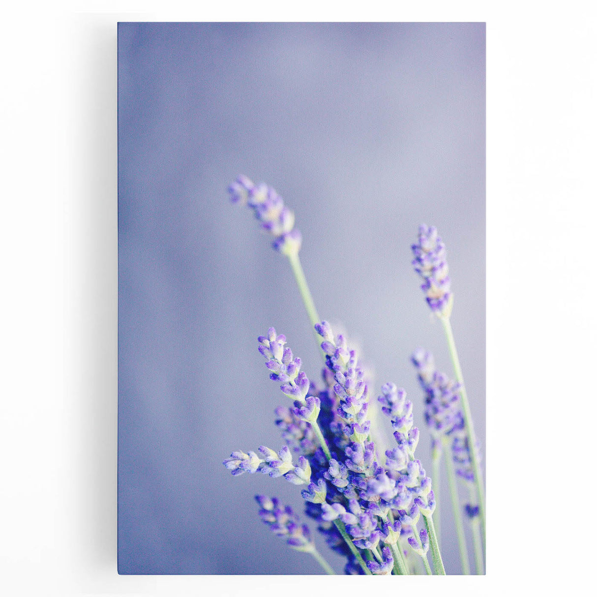 Black and white abstract design on large stretched canvas, ideal for kitchen wall art.