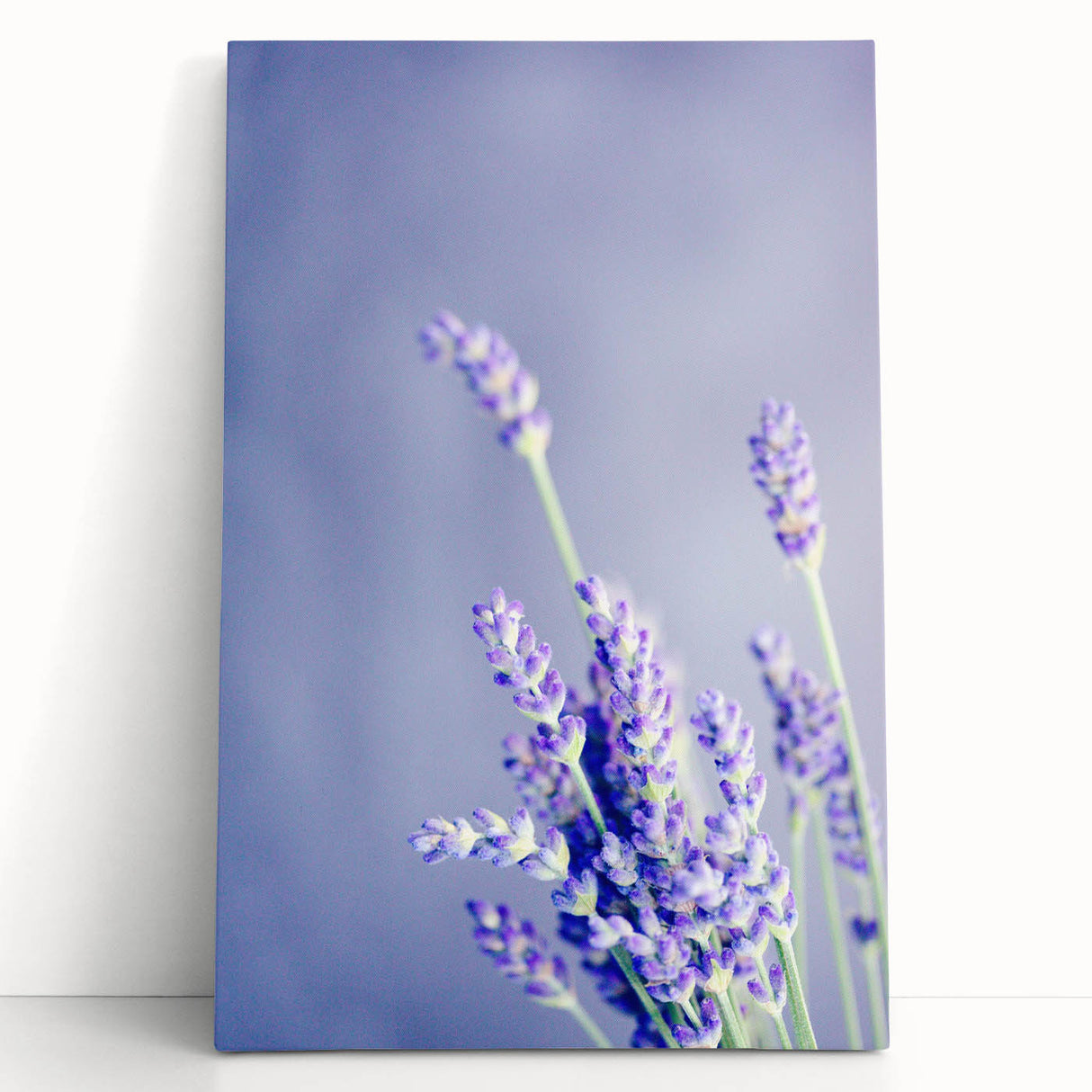 Large black and white abstract canvas portraying spring, ideal for kitchen wall art or bedroom ambiance.