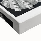 Ernst Haeckel’s Shell Illustrations - Elegant Black and White Wall Art